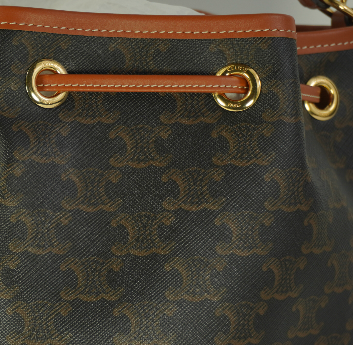 CELINE CLARA bag in Triomphe canvas and calfskin