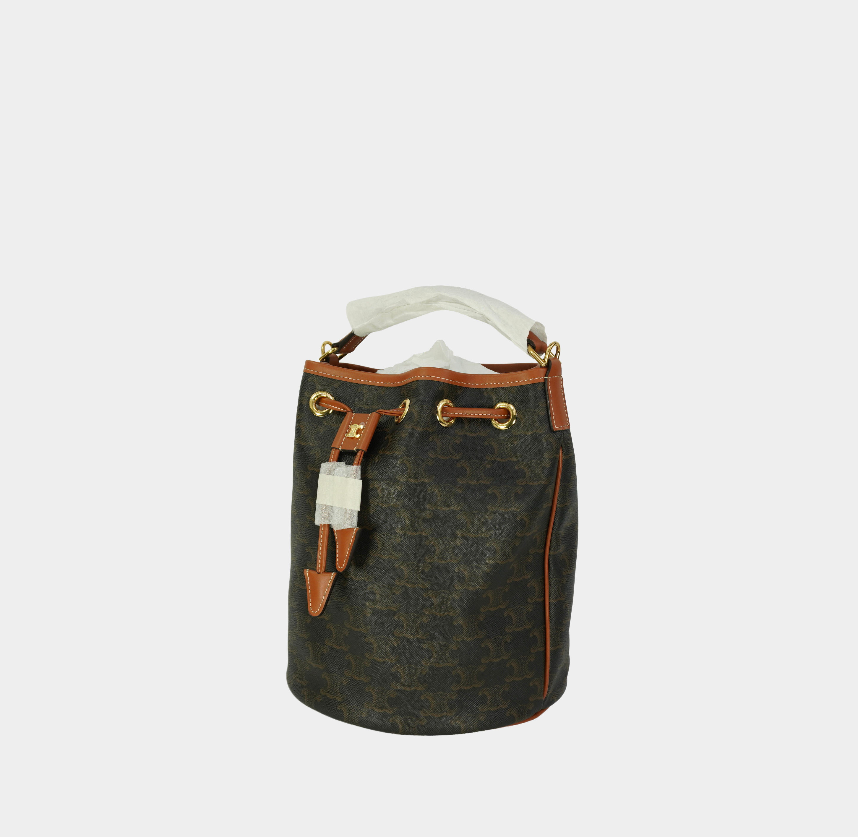 CELINE CLARA bag in Triomphe canvas and calfskin