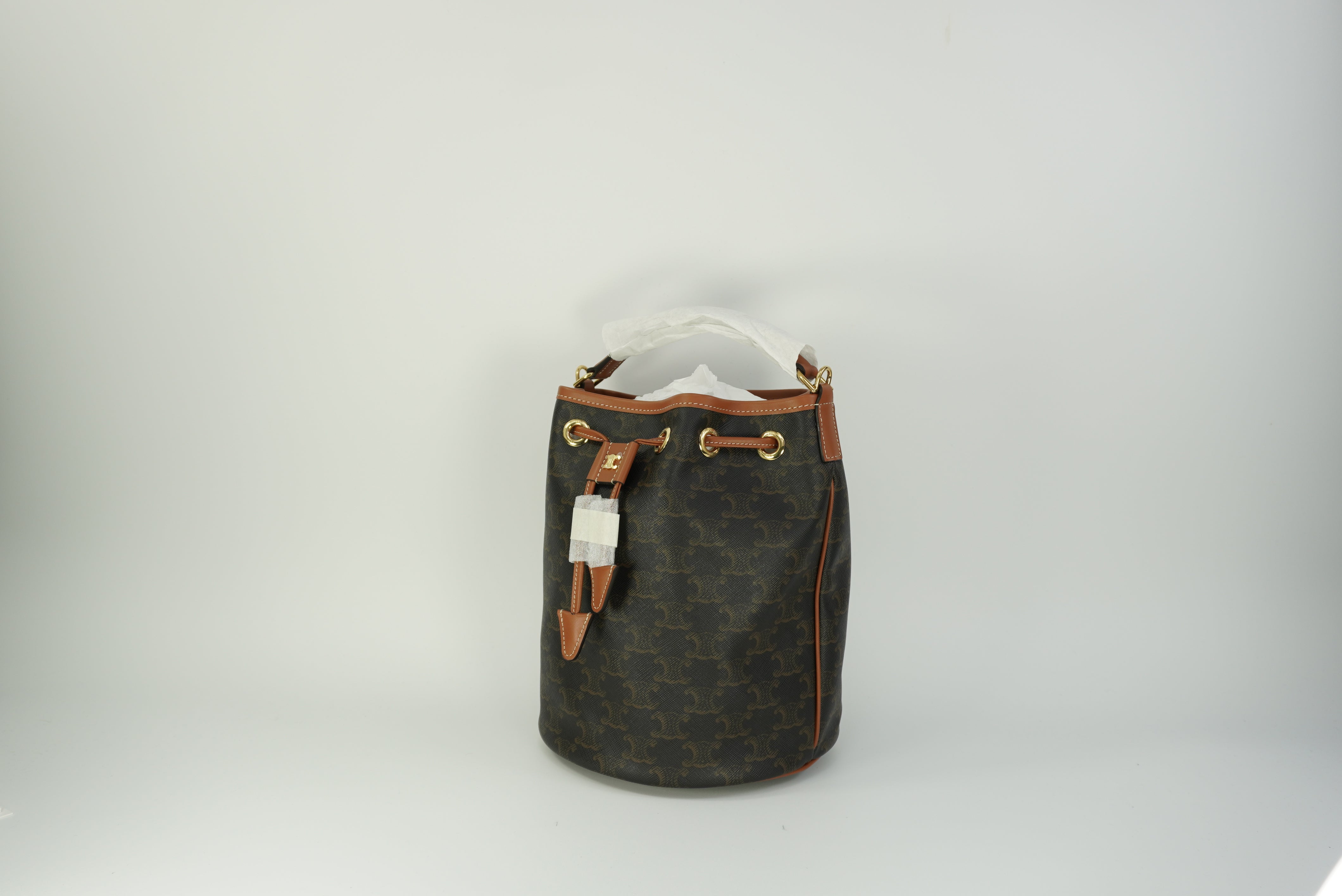CELINE CLARA bag in Triomphe canvas and calfskin