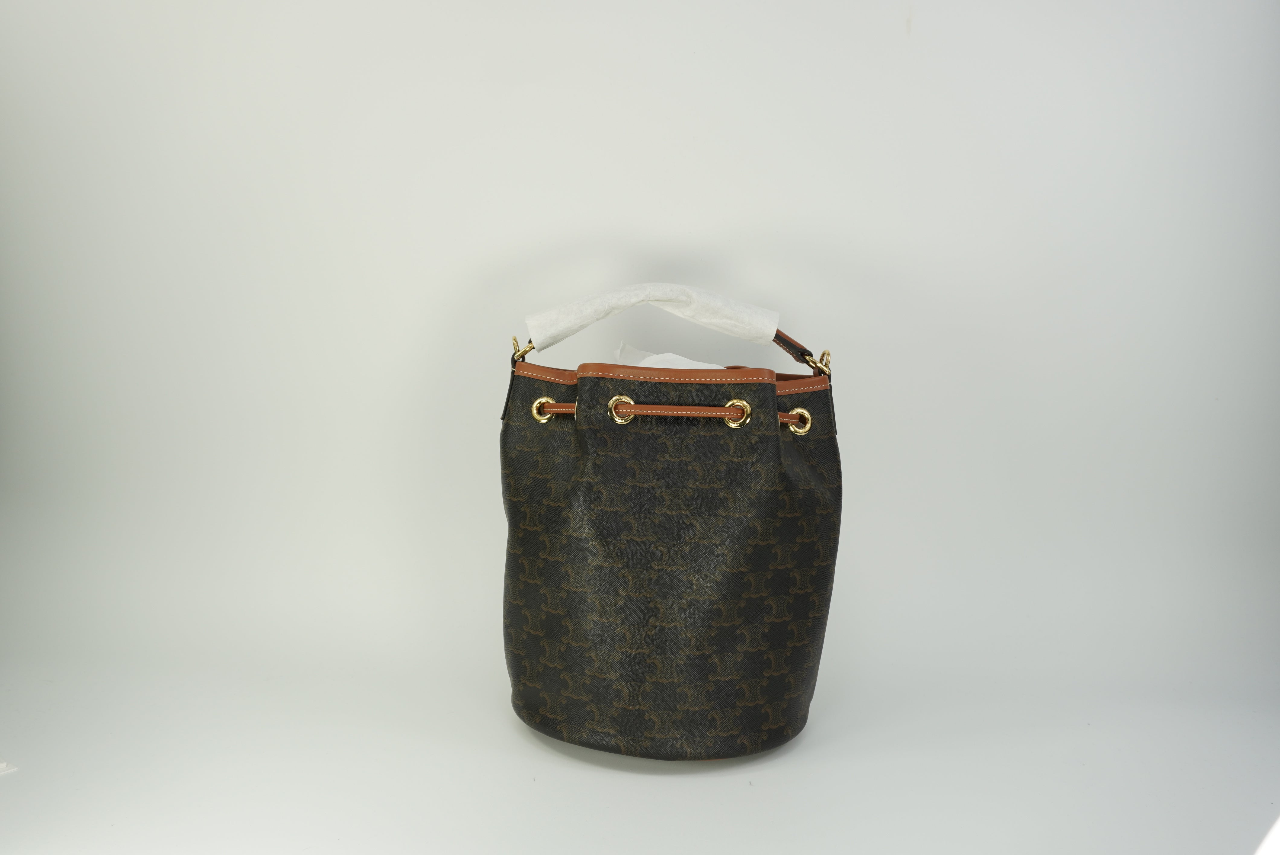 CELINE CLARA bag in Triomphe canvas and calfskin